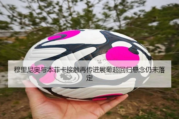 穆里尼奥与本菲卡接触再传进展葡超回归悬念仍未落定 | sabasports